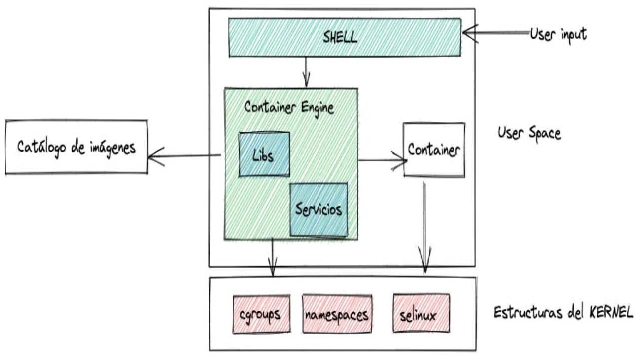 ¿Qué son los contenedores de software?